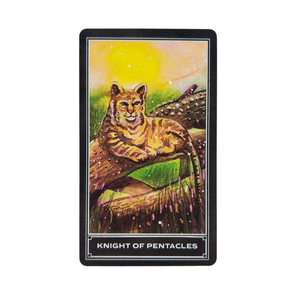The Enchanting Earth Tarot Car - Board Game Inspiration ulasan dan harga