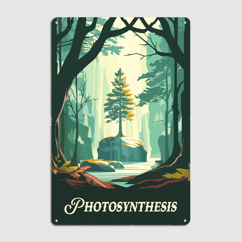 Photosynthesis Board Game Insp - Board Game Inspiration ulasan dan harga